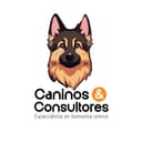 Caninos & Consultores